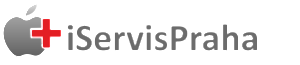 Primary Raster logo